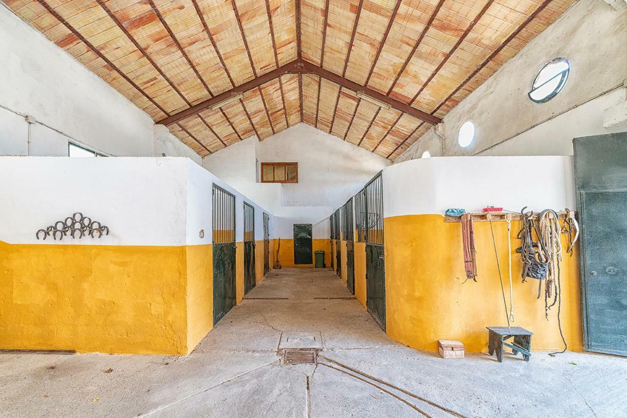 Alterhome Private Villa Cortijo Sierra Y Lago Аркос де ла Фронтера Екстериор снимка